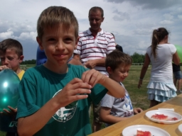 falunap2013_40_20180901